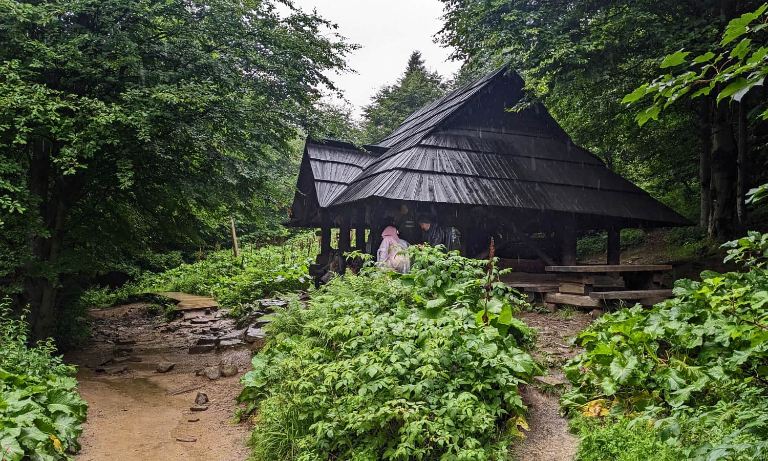 Shelter on the Blue Trail to Tarnica from Wołosate