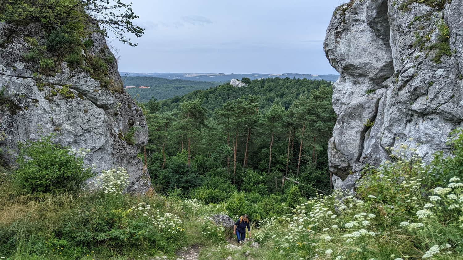 Descent from the top of Zborów Mountain