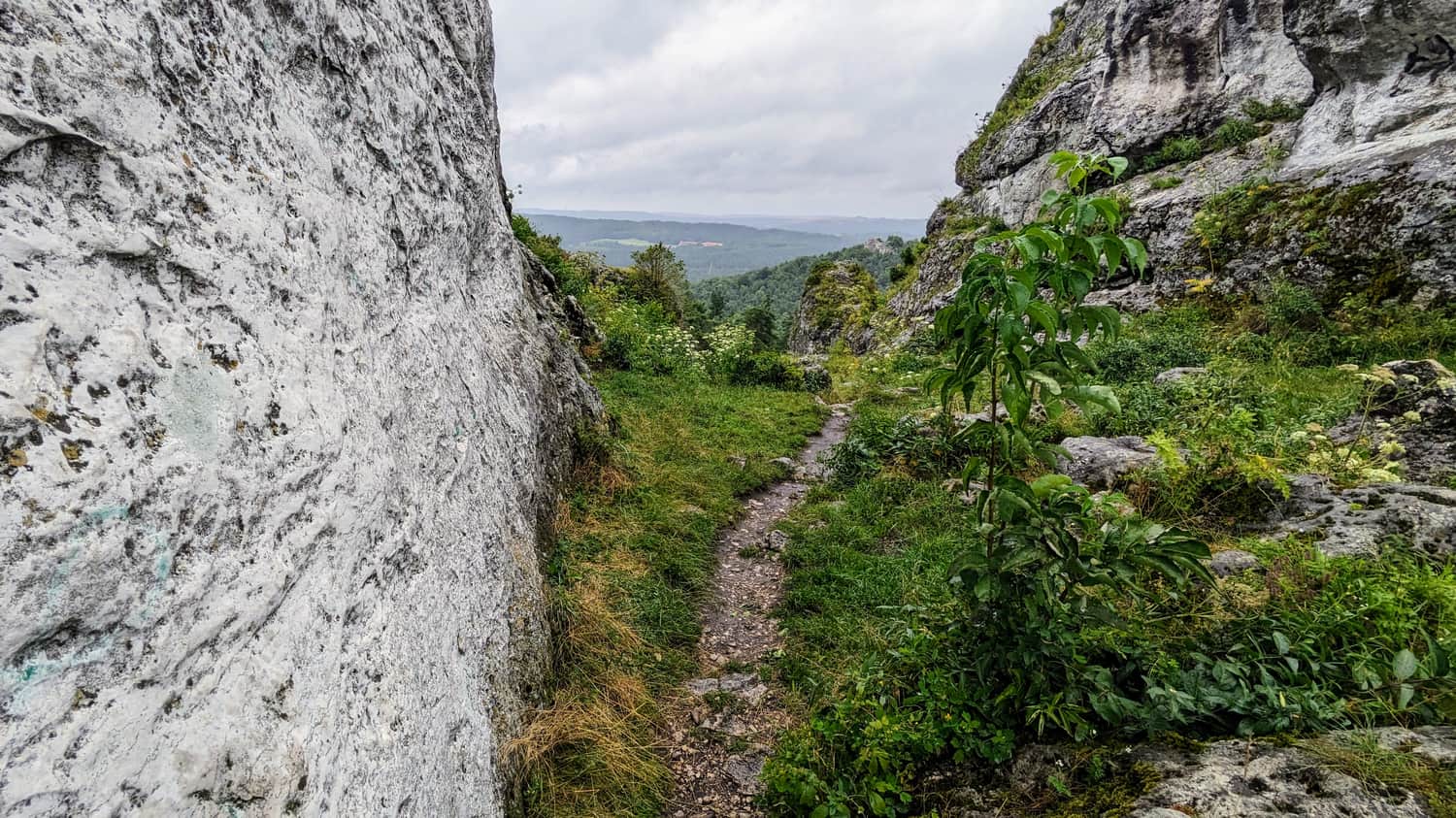 Góra Zborów, Kraków-Częstochowa Upland