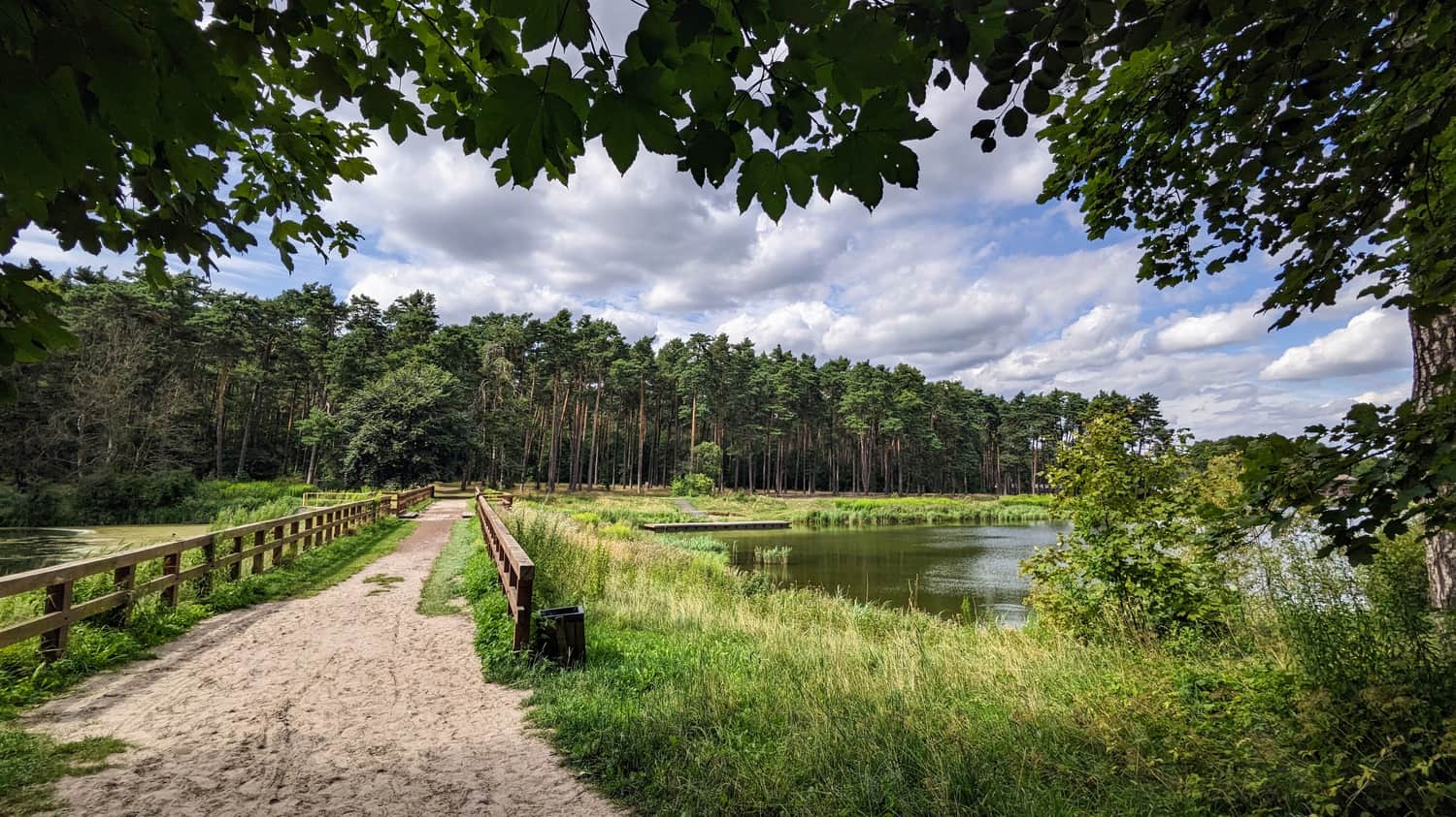 Amerykan Pond