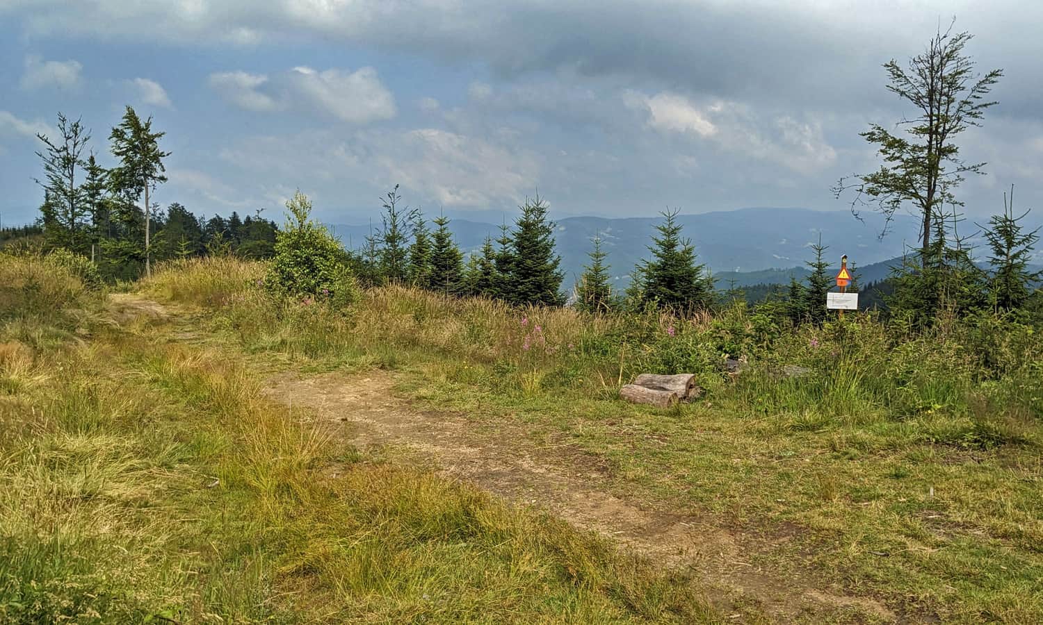 Niebieski szlak z Rytra na Przehybę - widok spod szczytu Przehyby Wielkiej na wschód