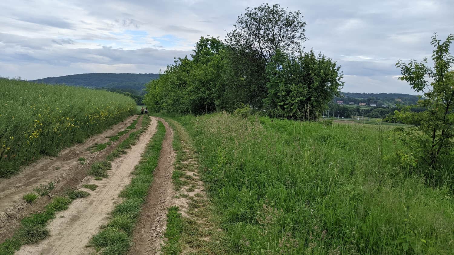 Ścieżka ze stacji PKP Kraków Olszanica do punktu widokowego na lotnisko