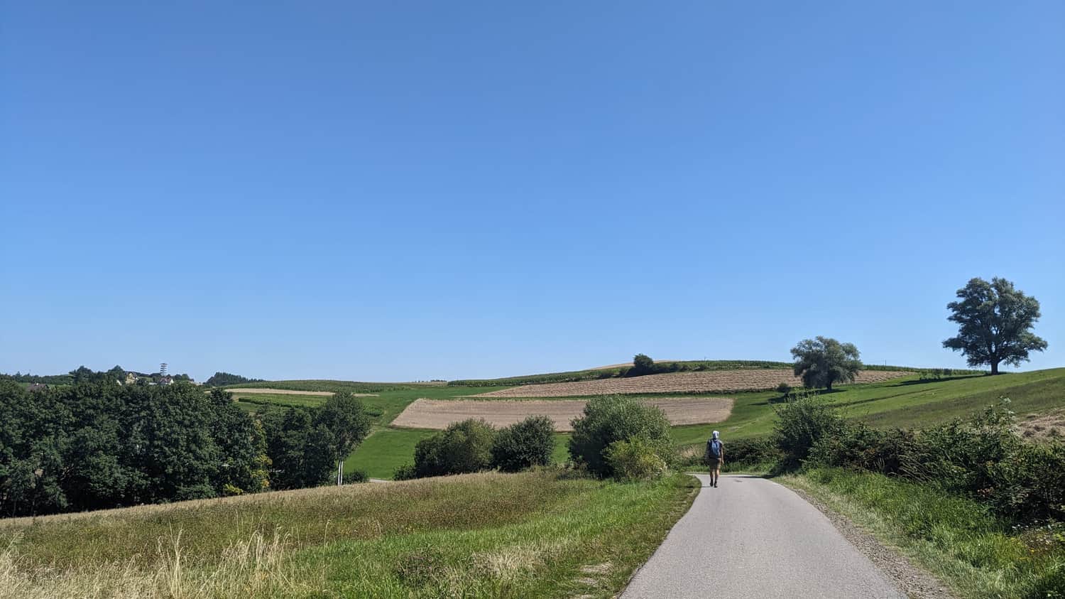 Village Road to the Observation Tower in Bruśnik