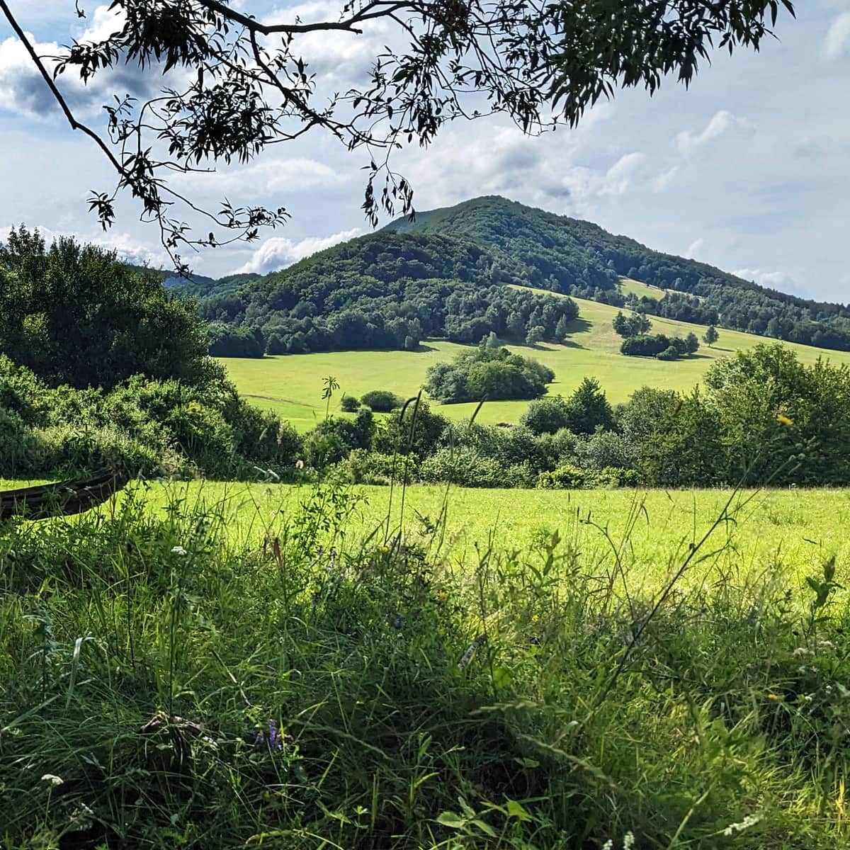 Lackowa - szlaki na najwyższy polski szczyt Beskidu Niskiego