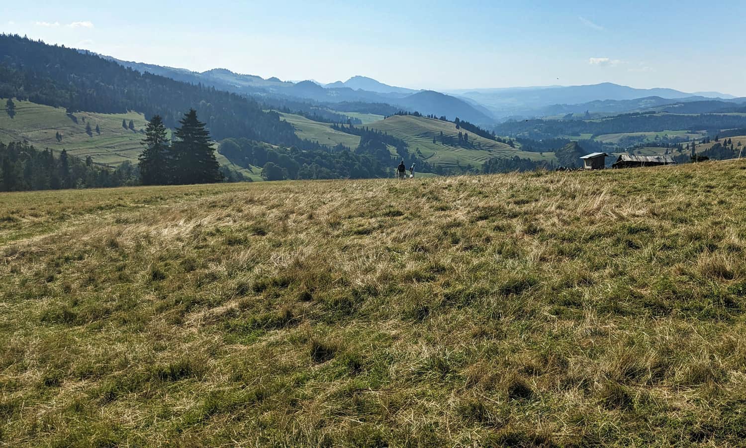 Widok z Przełęczy Rozdziela