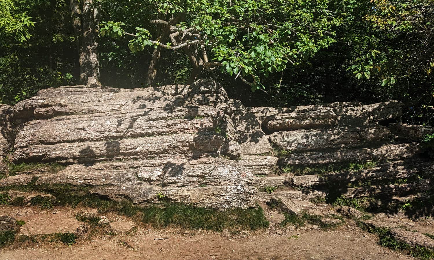Stone Books at Dubantowska Glade