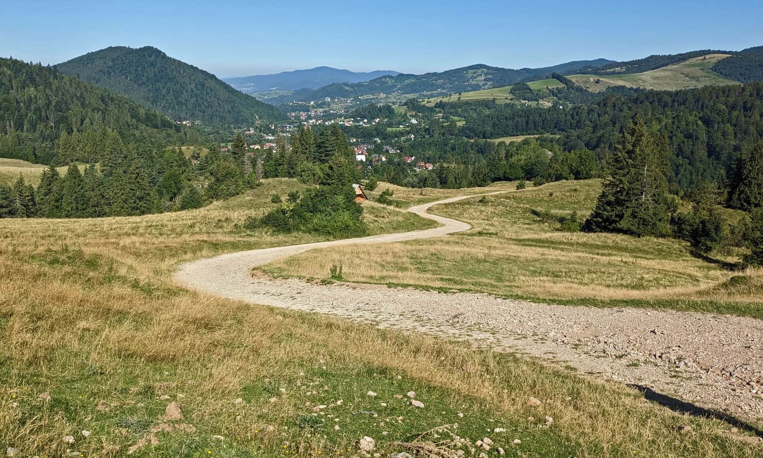Access road to the Shelter 