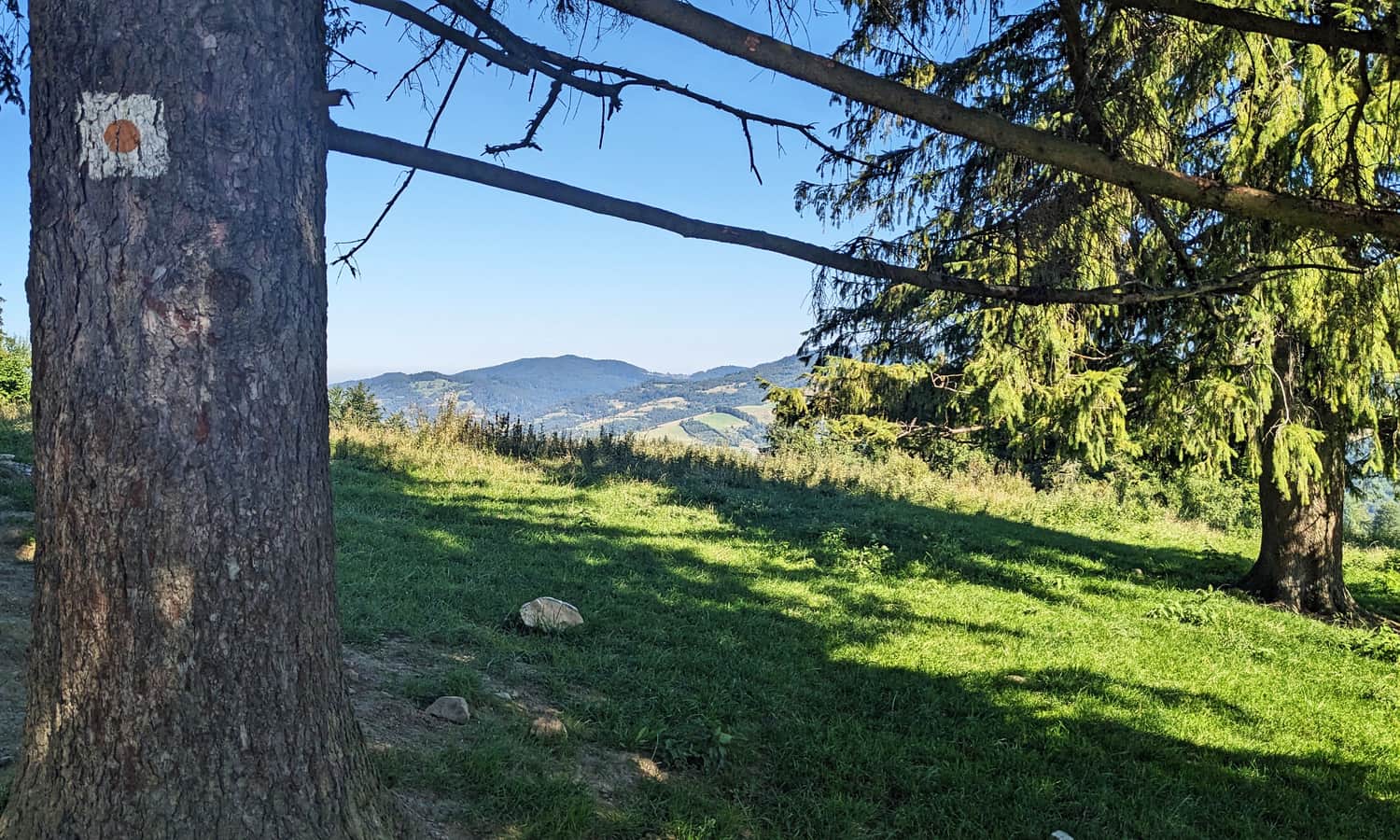 Horse trail on the way to the 