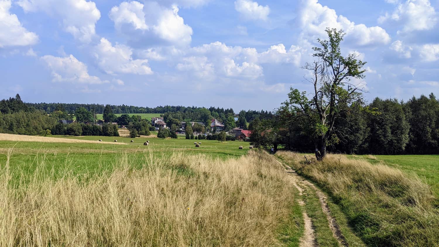 Pasterskie Łąki - widok w stronę Karłowa