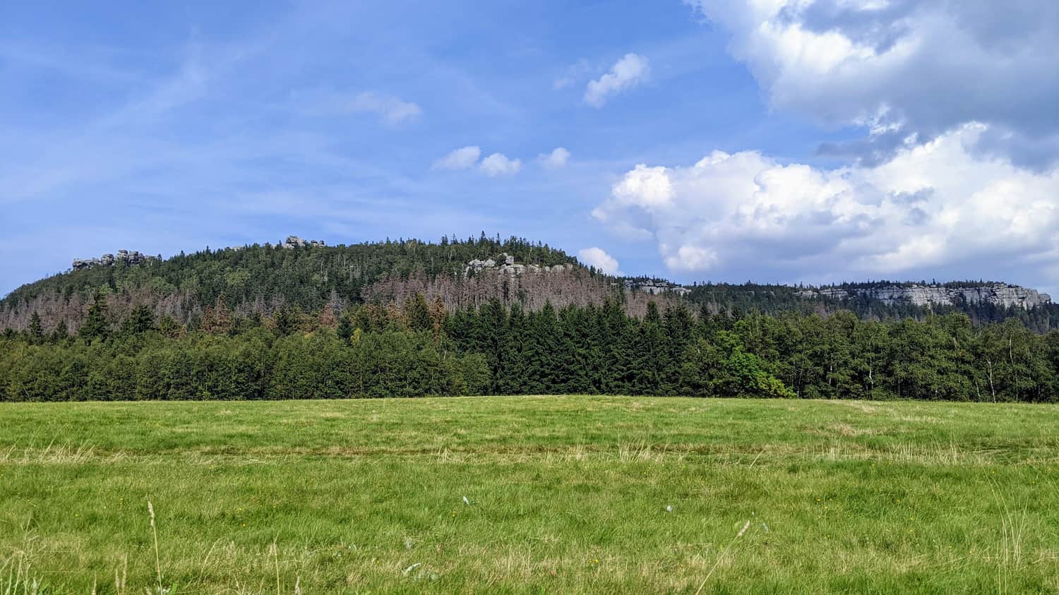 Widok na Szczeliniec Wielki z trasy z Karłowa do Błędnych Skał