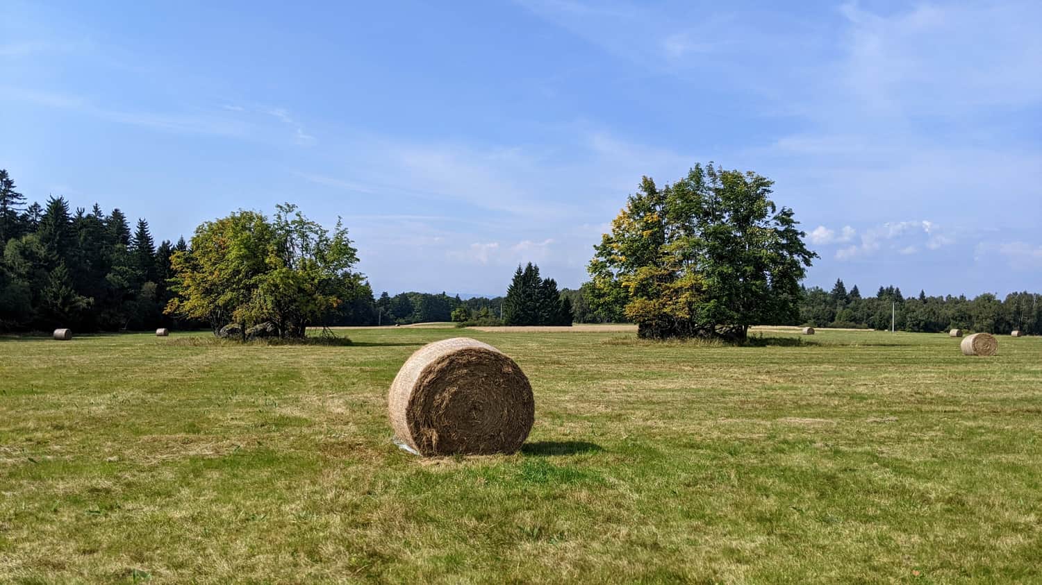 Pasterskie Łąki