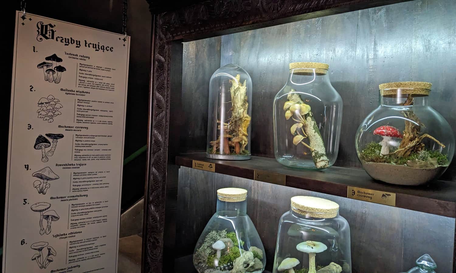 Czary Napary. Sandomierskie muzeum ziół i zielarstwa.