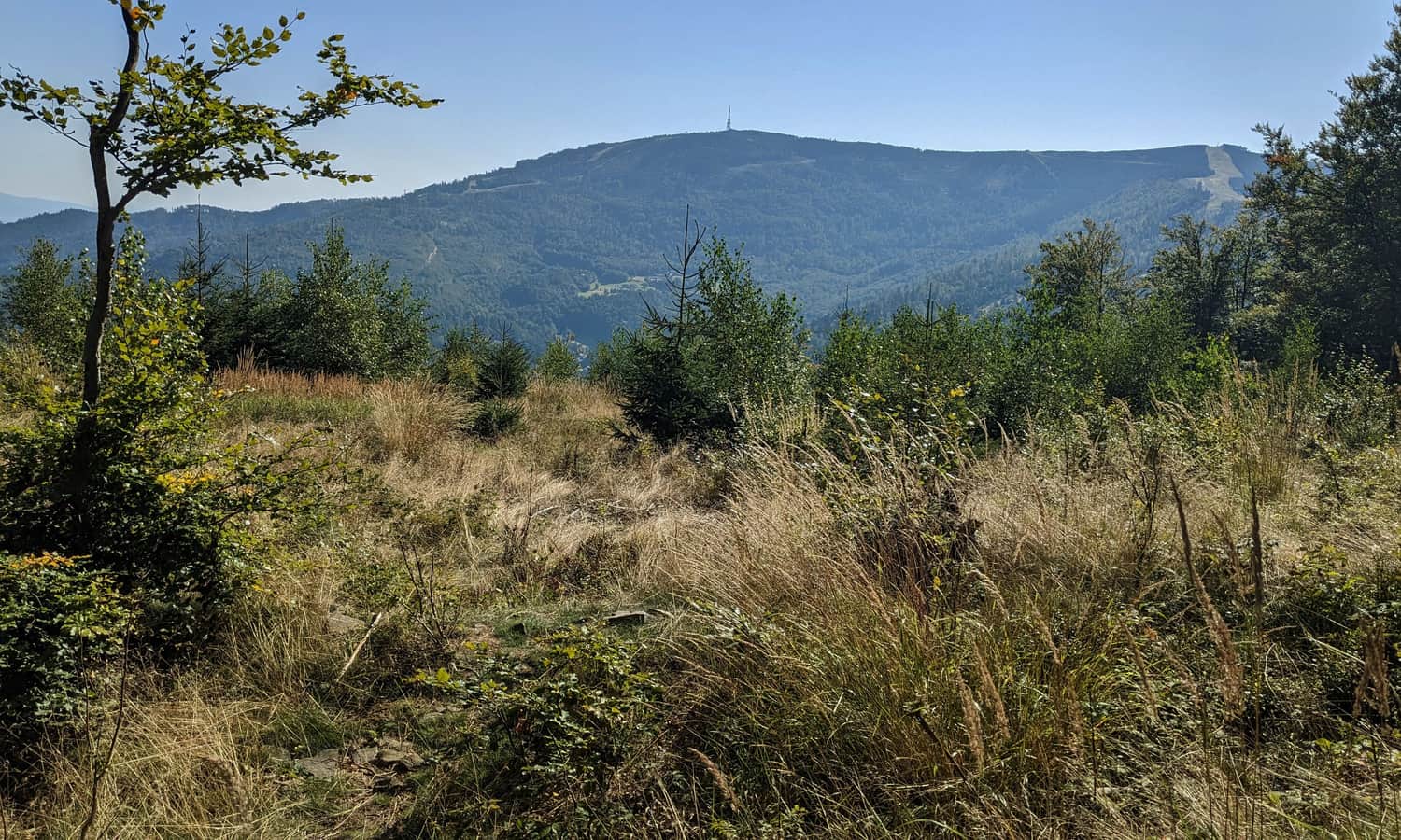 Skrzyczne - widok z grzbietu Beskidu Węgierskiego