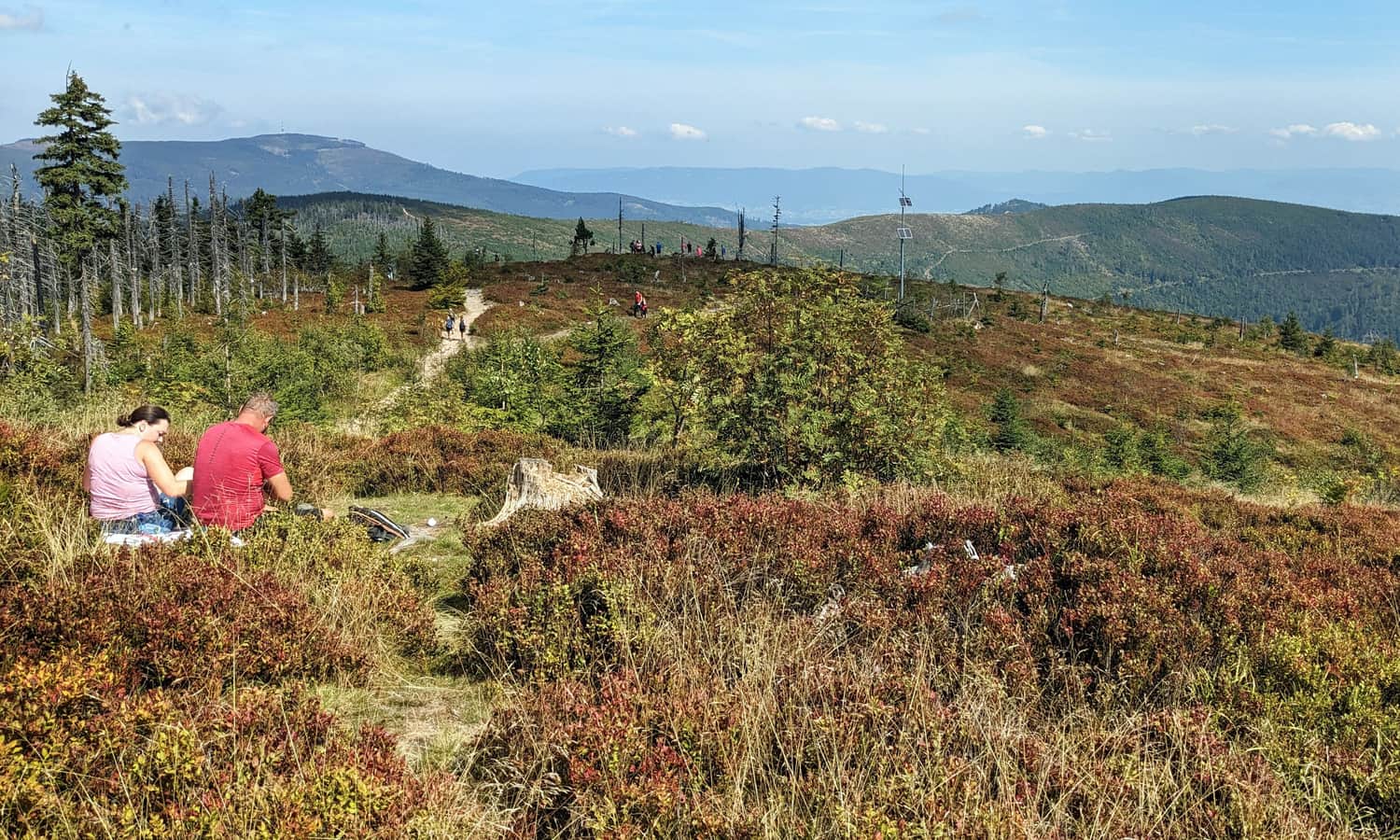 Borówkowe łąki na Baraniej Górze. Widok na Skrzyczne, grzbiet Magurki Radziechowskiej, a na horyzoncie: Beskid Mały