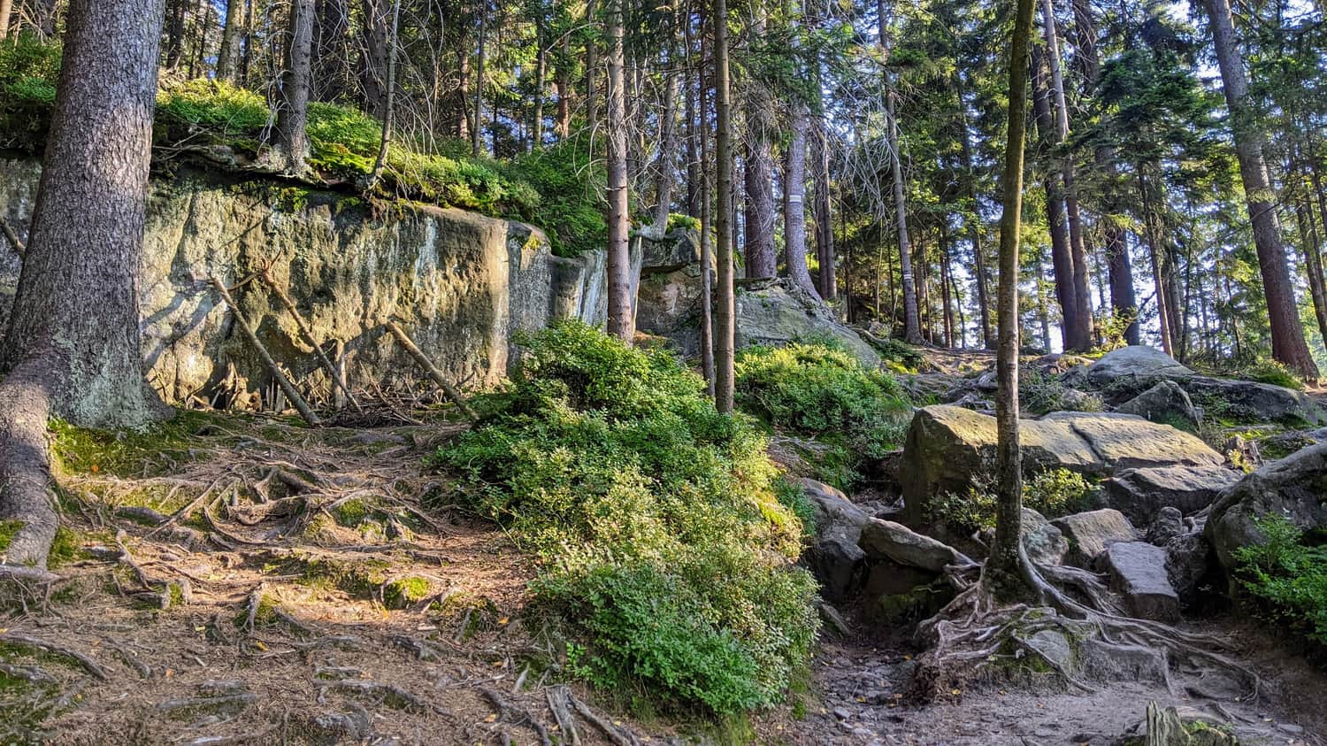 Yellow trail to Szczeliniec from Pasterka