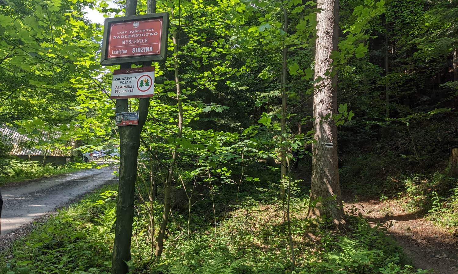The beginning of the black trail in Sidzina (Wielka Polana)