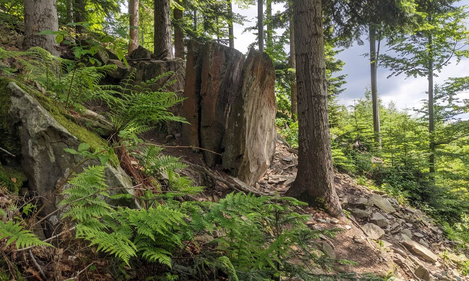 The rock formation 