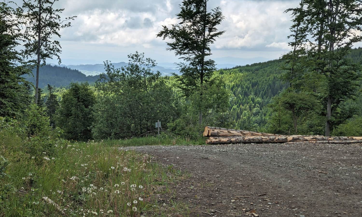 View from the black trail Sidzina - shelter on Hala Krupowa to the south