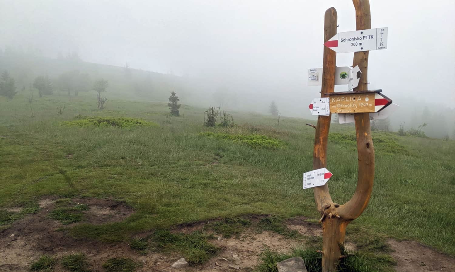 Kucałowa Pass - trail intersection on the ridge of the Polic Range, this time covered by fog.
