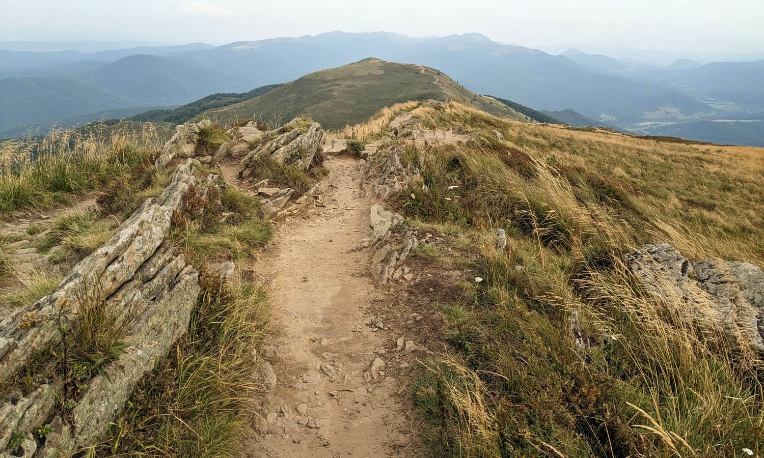 Połonina Caryńska, 1297 m n.p.m. - widok na południe: południowy szczyt Połoniny Caryńskiej, a w tle Gniazdo Tarnicy)