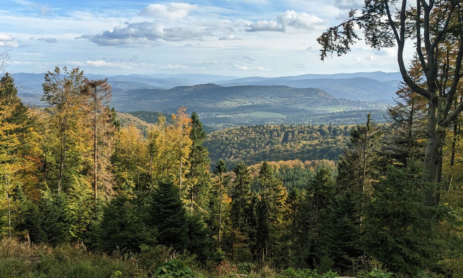 Schronisko PTTK na Leskowcu - widok na południowy-wschód