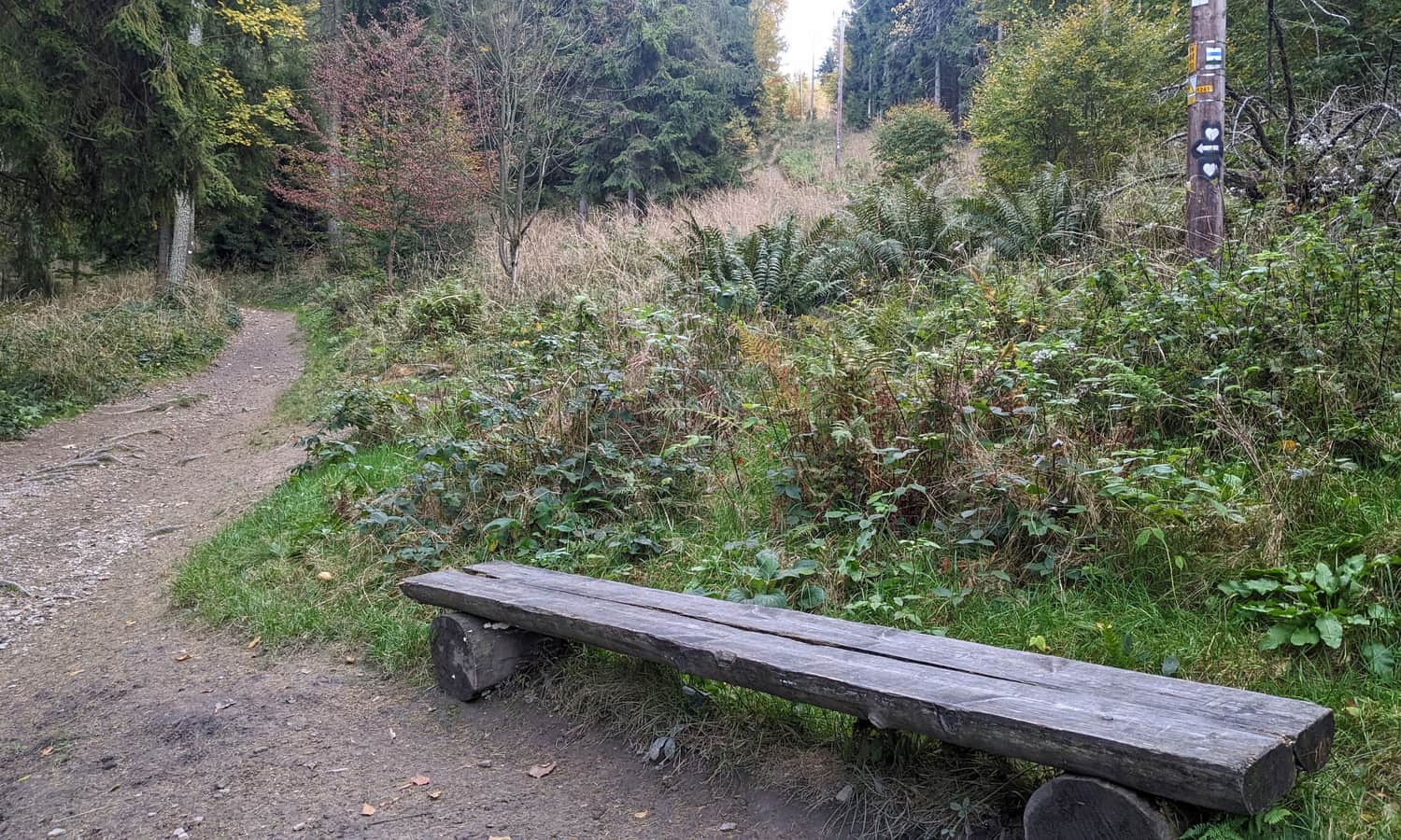 Rozejście szlaków PTTK i 