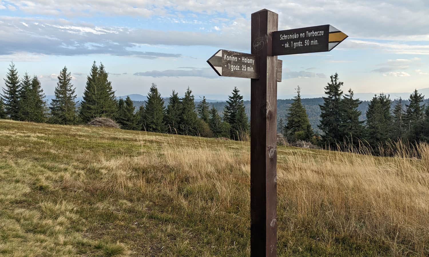 Pustak, 1235 m n.p.m. - widokowa polana na szczycie