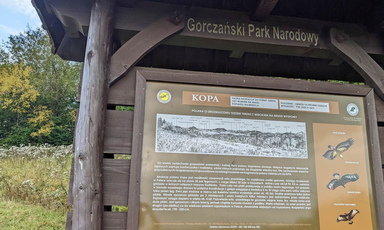 Kopa - polana na czarnym szlaku z Koniny na Pustak i Kudłoń