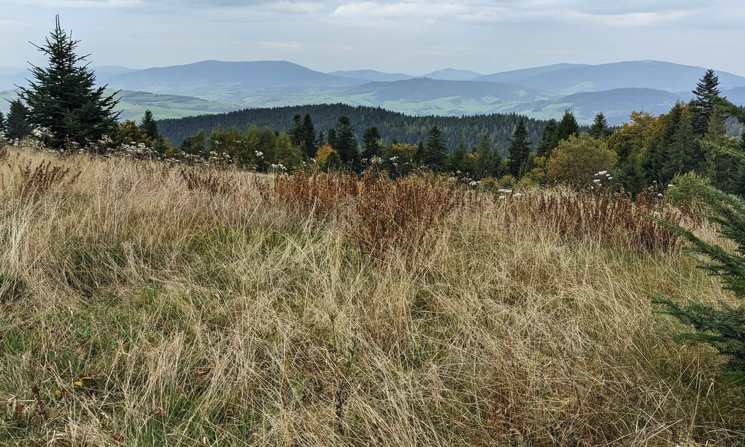 Polana Kopa - widok na Beskid Wyspowy