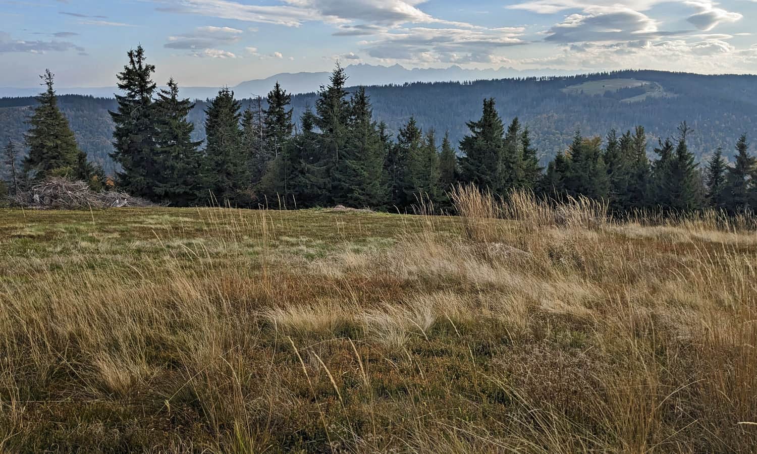 Polana Pustak - widok na Tatry