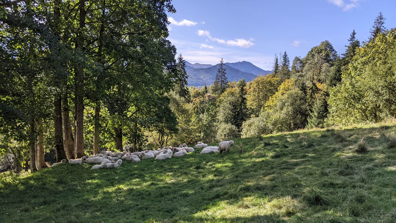 Uliczka Walowa Góra, Zakopane