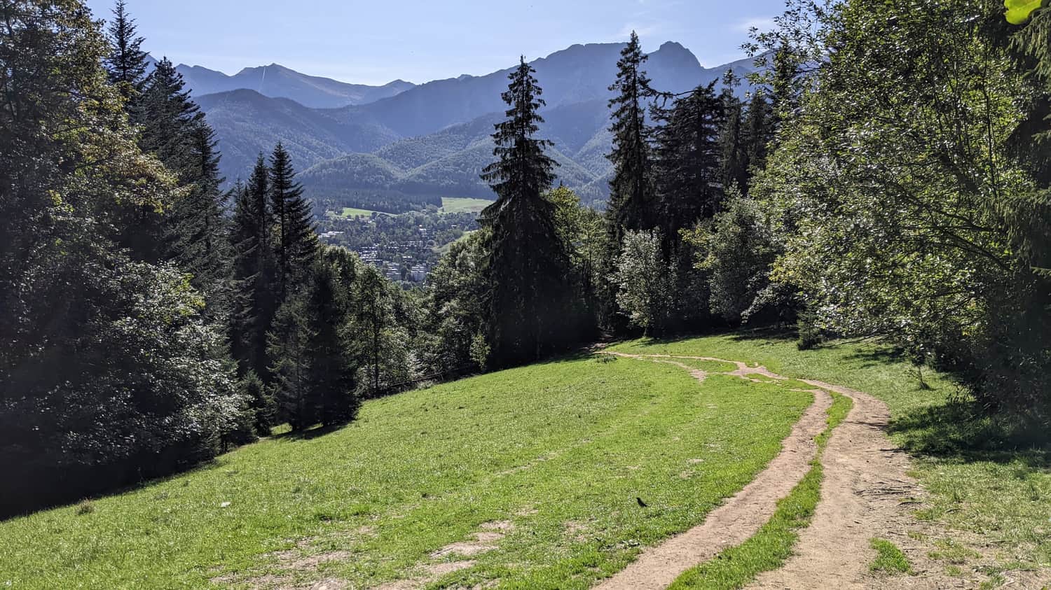 Meadow on Walowa Góra