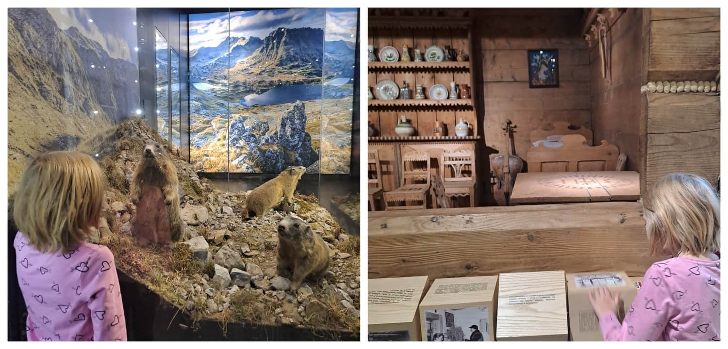Muzeum Tatrzańskie im. Tytusa Chałubińskiego, Zakopane