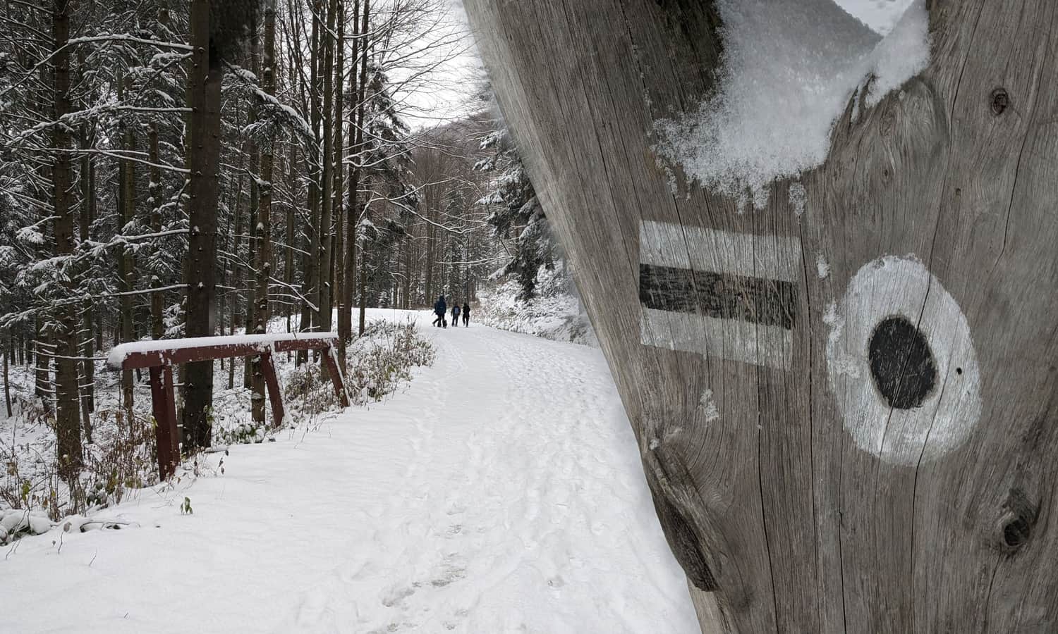 Nowy czarny szlak na Polanę Suchą z Lipnika i Kobielnika - zima