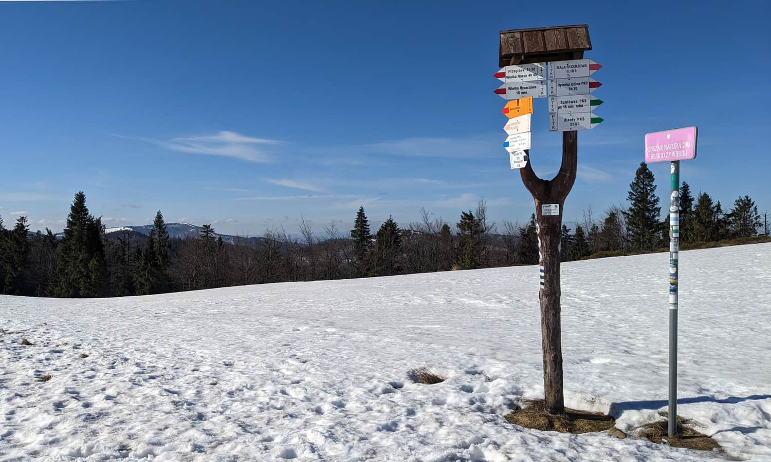 Przełęcz Halna, widok na zachód: Wielka Racza, za drzewami Bednoszka