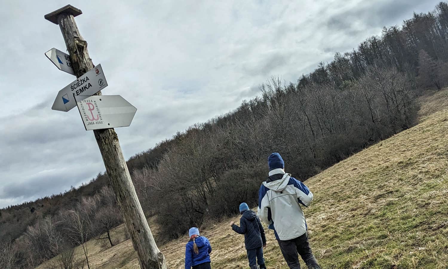 Wołtuszowa - kierunkowskazy Ścieżki Łemka i Beskidzkiej Trasy Kurierskiej 