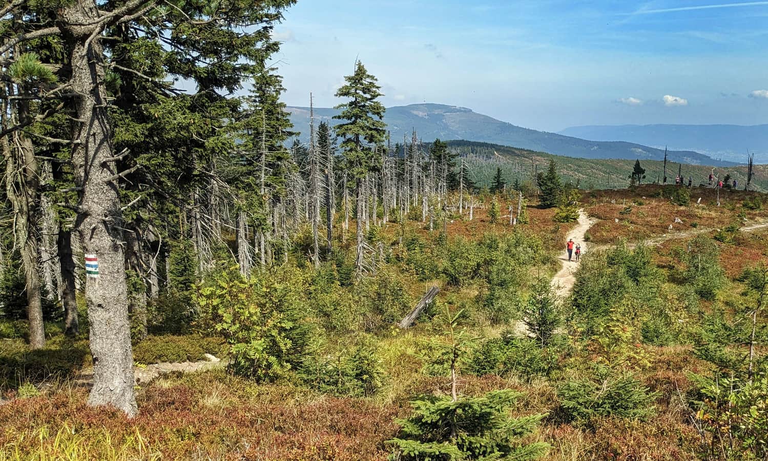 Easy routes in the Silesian Beskids for children and more!