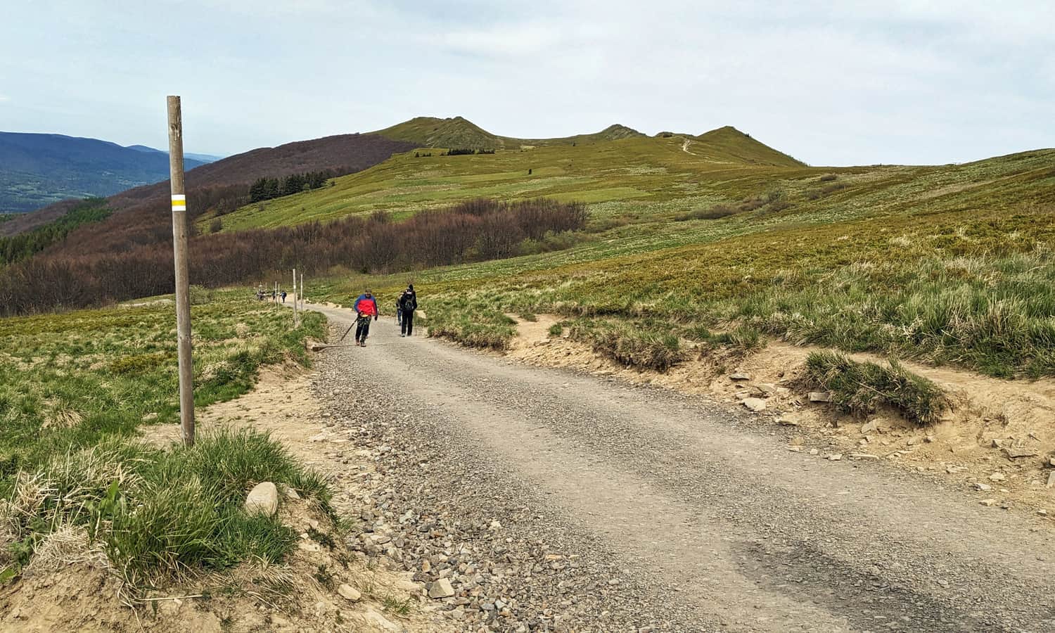 Żółty szlak na Połoninę Wetlińską. W tle Osadzki Wierch, Srebrzysta Przełęcz i Roch (1255 m n.p.m.)