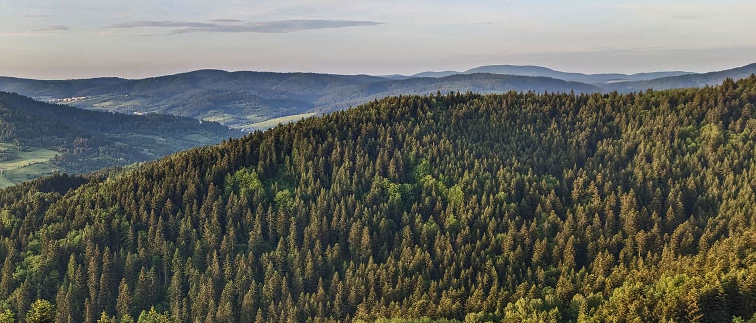 Widok z wieży na Malniku na północny-wschód: na ostatnim planie Beskid Niski i Lackowa