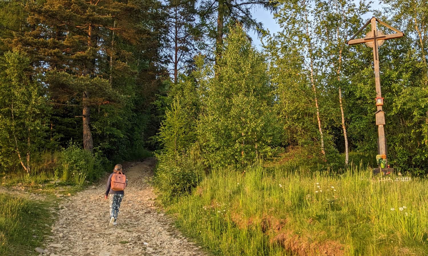 Wejście do lasu tuż pod wieżą widokową na Malniku