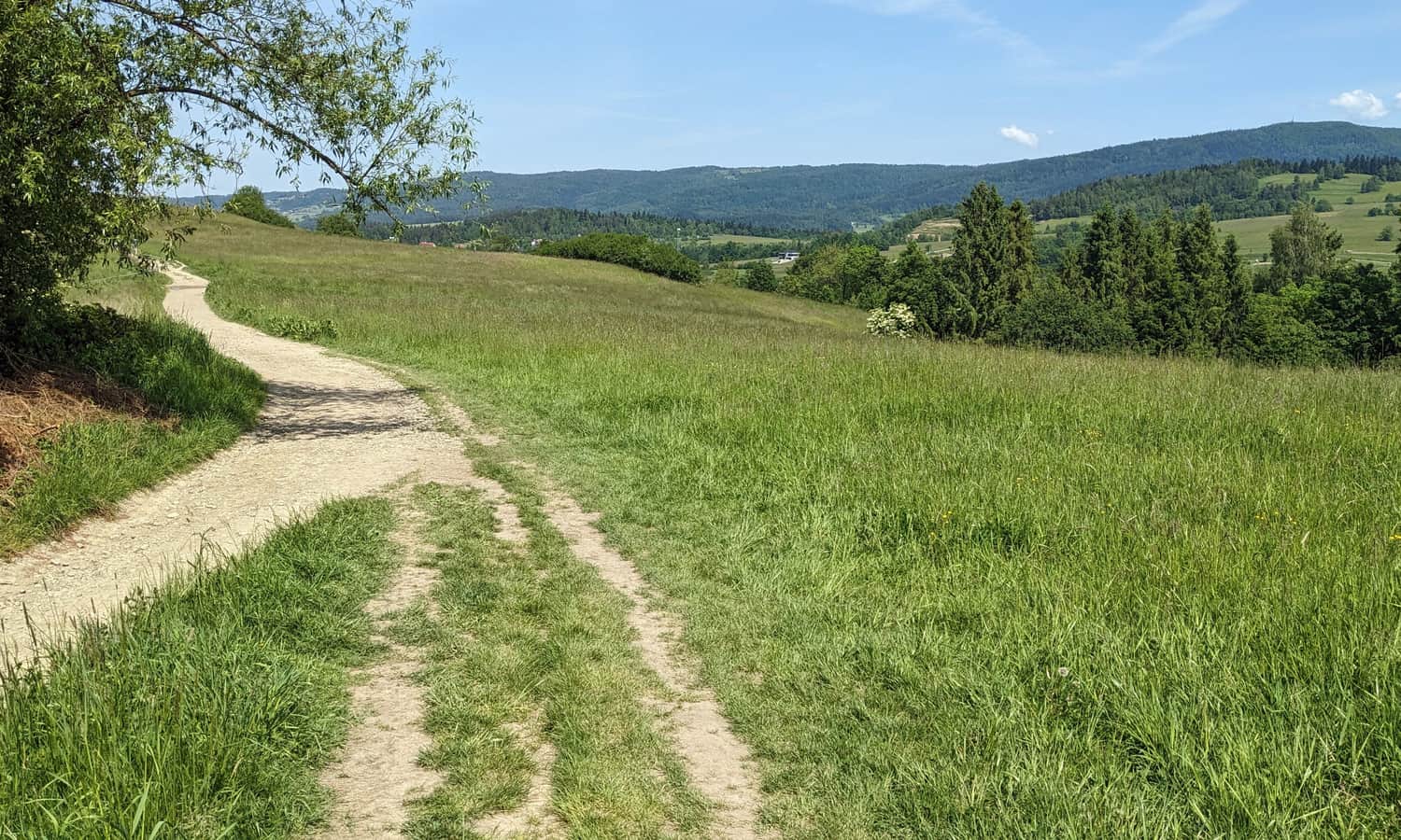 Czerwony szlak z Rabki-Zdrój na Maciejową - widok na Luboń Wielki