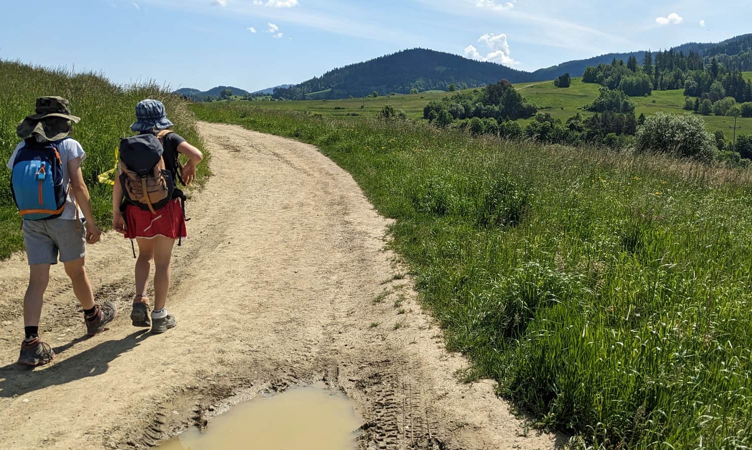Czerwony szlak z Rabki-Zdrój na Maciejową