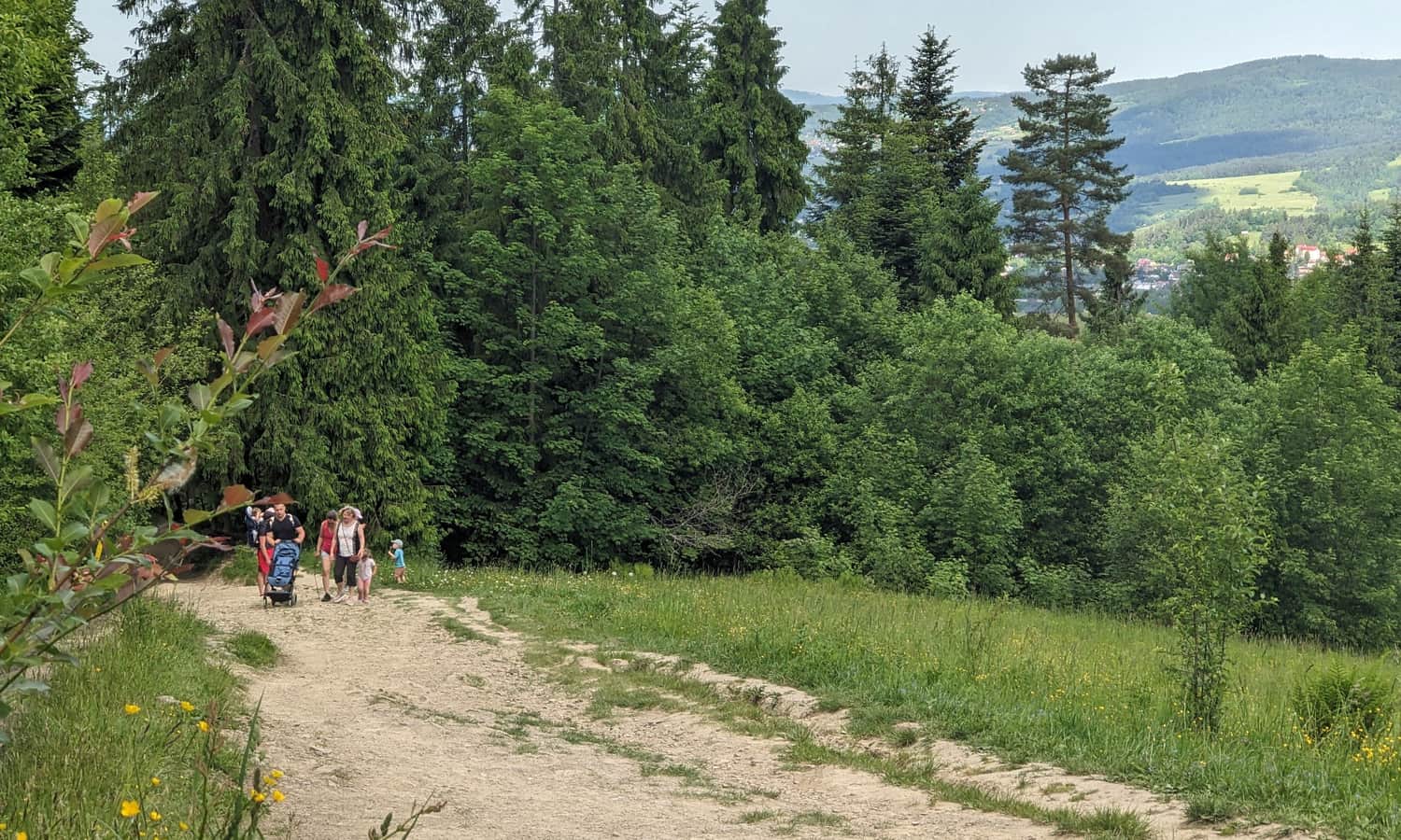 Czerwony szlak z Rabki-Zdrój na Maciejową