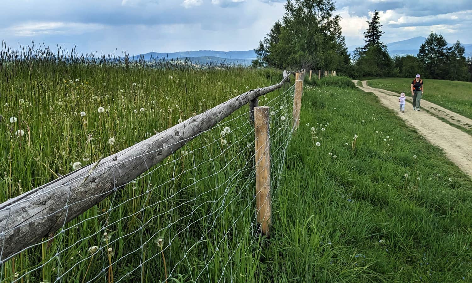 Czerwony szlak z Rabki-Zdrój do schroniska na Maciejowej