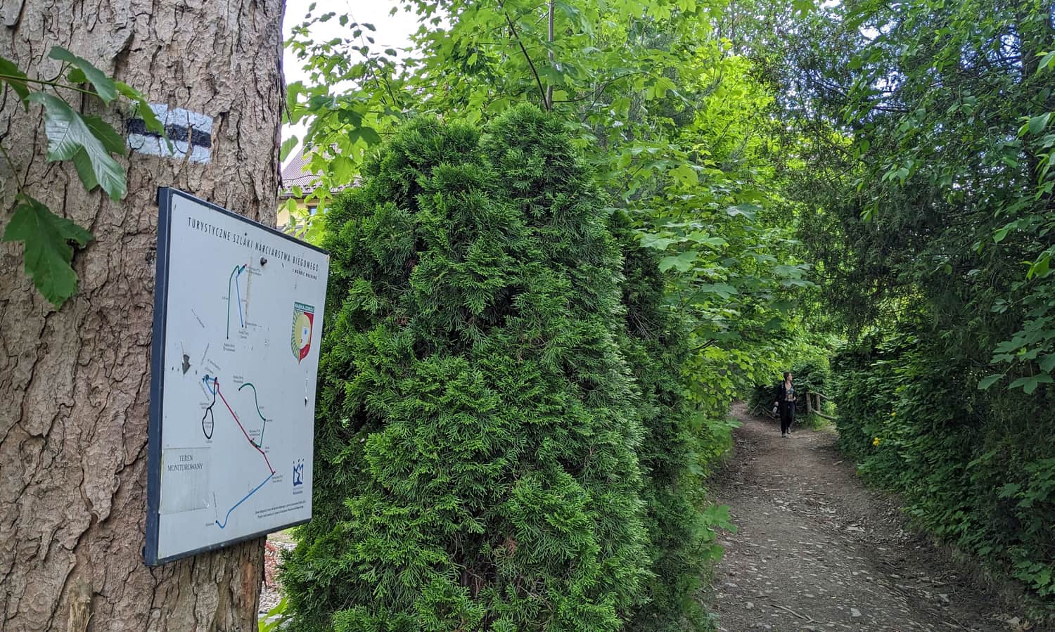 Czarny szlak z Rabki Słone na Maciejową.