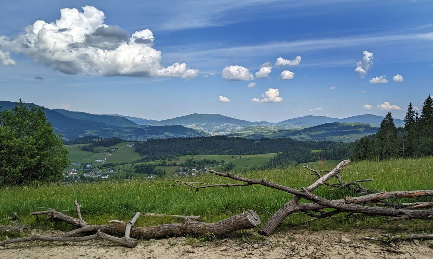 Widok z górnej stacji nieczynnego wyciągu narciarskiego na północ (Beskid Wyspowy)