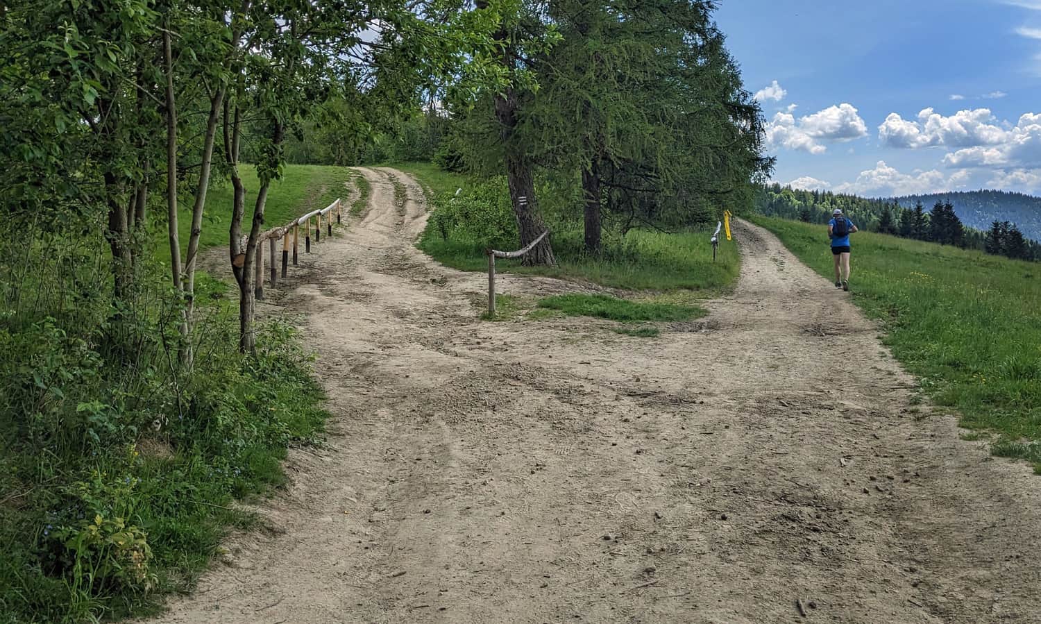 W tym miejscu czerwony i czarny szlak prowadzą drogą po lewej do schroniska (droga po prawej omija schronisko dołem Polany Przysłop).