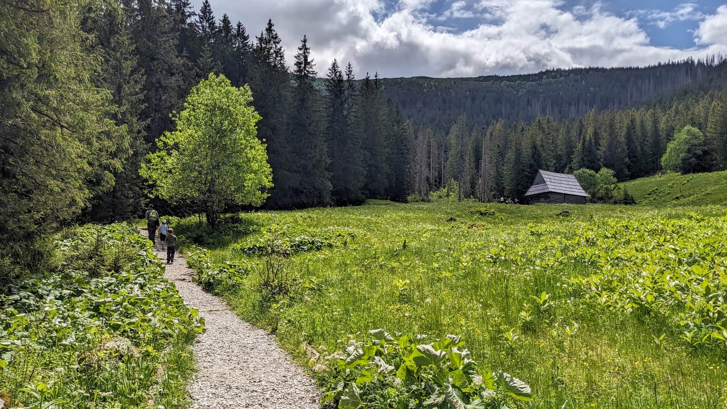 Yellow trail towards the spring