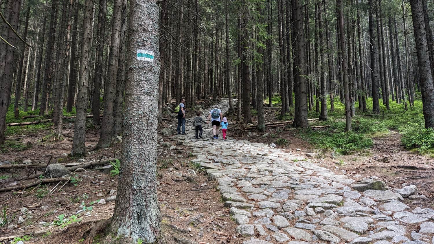 Ascent to Kopieniec Meadow