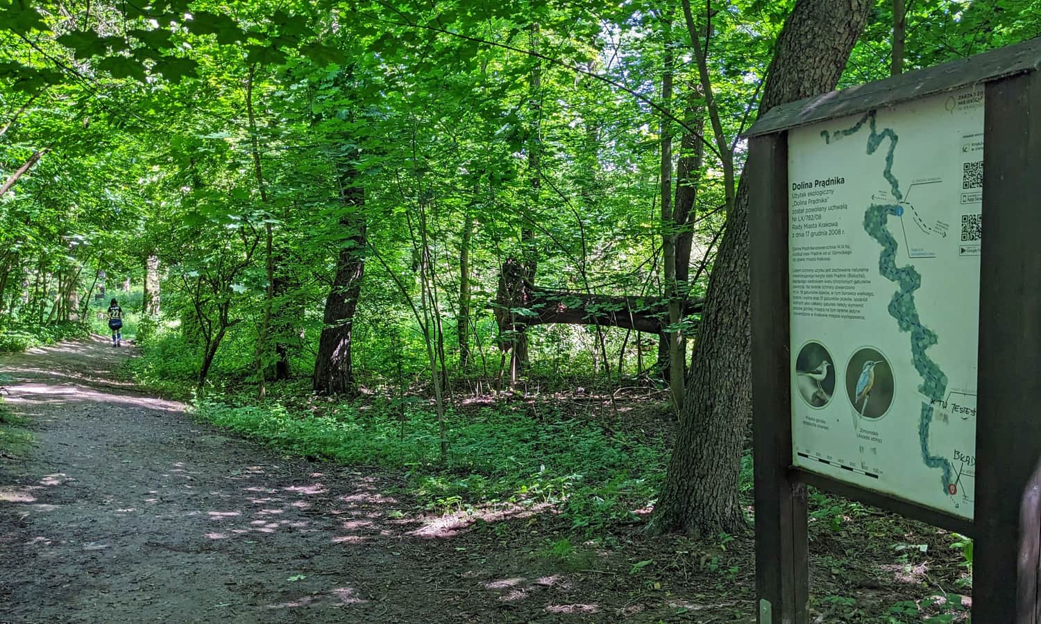 Użytek ekologiczny 